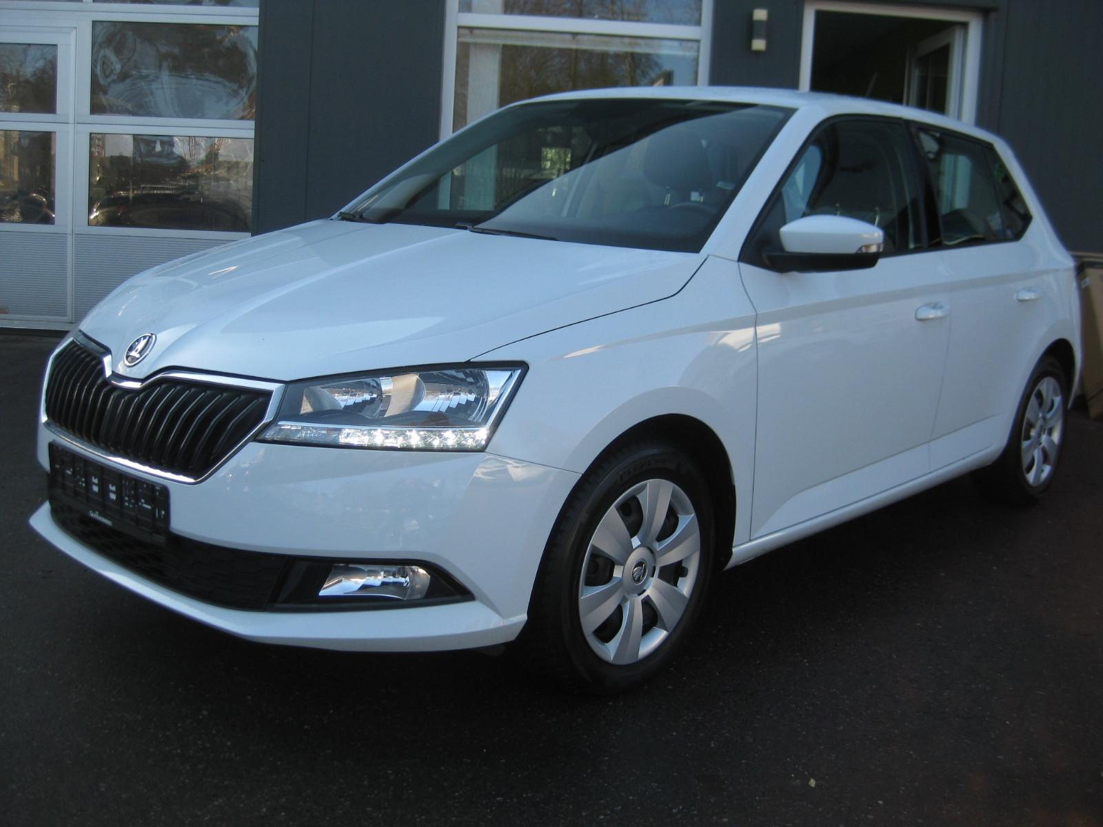 Skoda Fabia 1.0 Ambition "AUTOMATIK-SEHR GEPFLEGT"