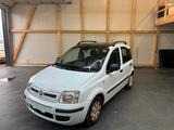 Fiat Panda 1.2 8V Dynamic - Fiat Panda: Dynamic