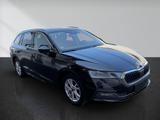 Skoda Octavia Combi 2.0 TDI DPF Style 4x4 Ultimate ... - Skoda Octavia: Ultimate