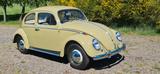 Volkswagen VW Käfer - 1963 - Dickholmer - 4 Vorbesitzer- - Volkswagen Käfer: Grün