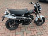 Honda Dax 125 Modell 2025 "Sonderaktion" - Angebote
