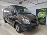 Mercedes-Benz Sprinter/163PS/AUTOMATIK/STANDHEIZUNG/KLIMA/MWST - Mercedes-Benz Sprinter: Partikelfilter