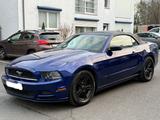 Ford Mustang Cabrio 3.7 Xenon  Alu - Ford Mustang Gebrauchtwagen in Frankfurt
