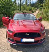 Ford Mustang Cabrio - Ford Aerostar Gebrauchtwagen