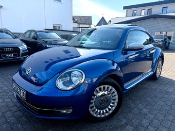 Volkswagen Beetle - 10