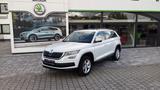 Skoda Kodiaq 2.0 TDI DSG  Ambition 8 fach bereift - Skoda Kodiaq in Lübeck