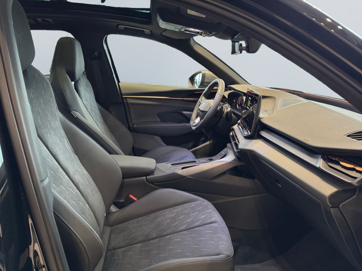 Cupra Terramar - Bild 18