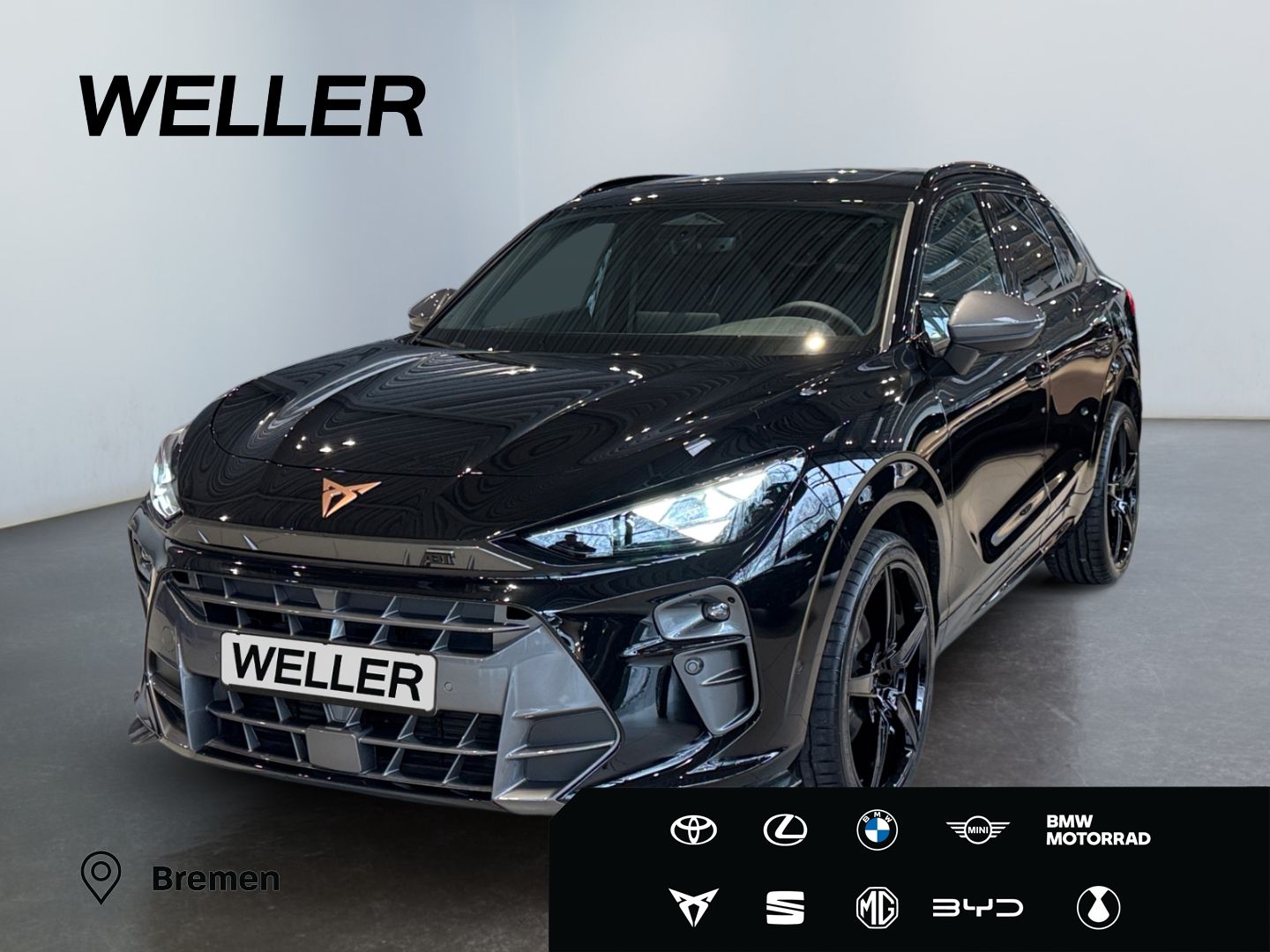 Cupra Terramar 2.0 TSI 4Drive DSG VZ ABT Umbau*Pano*HU