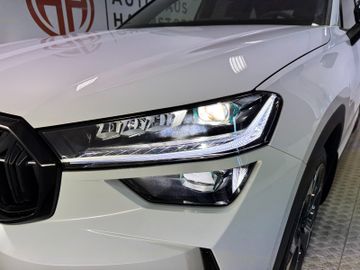 Skoda Kodiaq 2.0 4x4 RS AHK*StHz*Pano*HeadUp