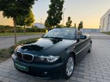 BMW 3 Cabrio 320 Ci, Oxford-Grün, Chrom-Line - BMW 320 aus 2004
