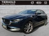 Mazda CX-30 G150 Selection AT LEDER BOSE ACC HUD 360° - blaue Mazda CX-30