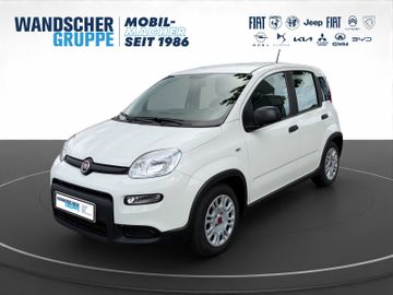 Fiat Panda Base Mild Hybrid 1,0
