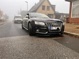 Audi S5 4.2 FSI tiptronic quattro - - Audi S5 aus 2009