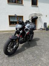 Aprilia Shiver 900 - APRILIA SHIVER 900