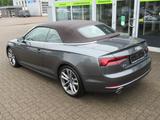 Audi A5 Cabriolet 40 TFSI sport - Audi A5 mit Benzin-Antrieb: Leder, Navigationssystem