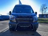 Ford Bunkervan Forested 4x4 Clesana C1 Rundsitzgruppe - Ford Fo