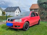 Volkswagen Polo 6N2 GTI - Volkswagen Polo mit Benzin-Antrieb: 6n GTI
