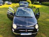 Fiat 500 Lounge-PANO-REIFEN-ÖL&TÜV ZAHNRIEM NEU - Fiat 500: R