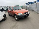 Honda CR-V 2.0 City Edition Klima. AC - Honda CR-V aus 1999