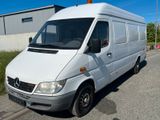 Mercedes-Benz Sprinter 313CDI Maxi Lang*Motor & Getriebe TOP - Angebote entsprechen deinen Suchkriterien