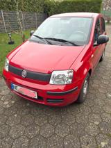 Fiat Panda - Fiat Panda Gebrauchtwagen in Mönchengladbach