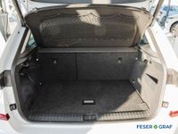 Skoda Kamiq - Vorschau Bild 12