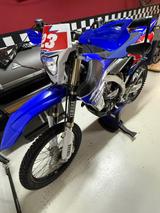 Yamaha WR 450 F mit Straßenzulassung - YAMAHA RALLYE