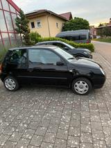 Volkswagen VW Lupo TÜV wird am Dienstag den 12.09.25 ... - Volkswagen Lupo mit Benzin-Antrieb: Kleinwagen, 1.0