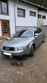Audi A4 1.8T B6 Avant - Audi A4 aus 2002: 1.8