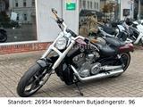 Harley-Davidson V-Rod Muscle ABS 5HD - HARLEY-DAVIDSON V ROD MUSCLE