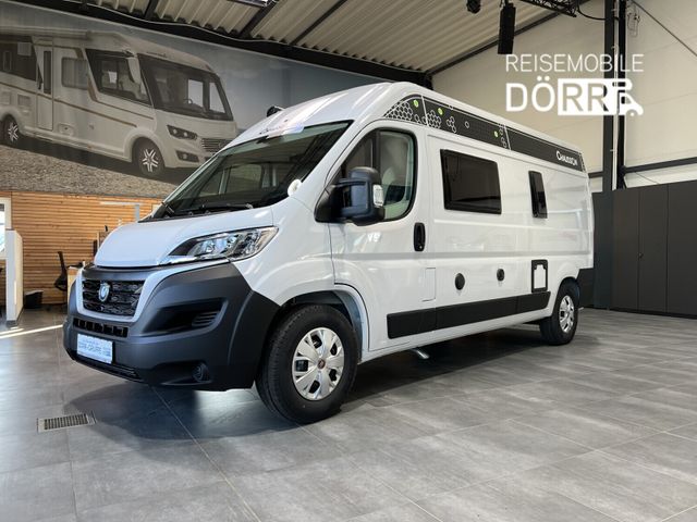 Chausson Van First Line V594 LAGERABVERKAUF, SONDERPREIS