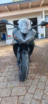 Triumph Daytona 660 |A2|Quickshifter|Garantie 29 - TRIUMPH DAYTONA