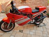 Ducati 750 Sport - DUCATI 750 SPORT