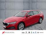 Skoda Octavia Combi 2.0 TDI DSG FIRST EDITION NAVI+AHK - Skoda: Allradantrieb