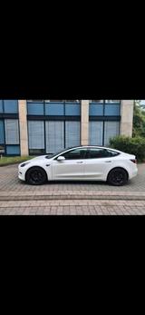 Andere Tesla Model 3 - Standard Range Plus  - RWD... - Andere: Plus