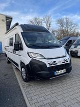 LMC Innovan 600 Heck ED MarkiseSkyroofSolarFahrradtr - LMC Diesel Kastenwagen