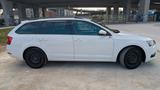 Skoda Octavia 1.0 TSI Ambition Tour AHK*ACC*LED*KLIMA - Skoda Octavia Tour mit Benzin-Antrieb