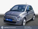 Fiat 500 1.0 Mild Hybrid Basis - Fiat 500 Gebrauchtwagen in Dresden