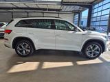 Skoda KODIAQ 1.5 TSI SPORTLINE NAVI LED SHZ ACC CAMERA - Skoda Kodiaq Tageszulassungen