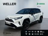 Toyota RAV 4 2.5 Hybrid Style Selection *Pano*360°*JBL*
