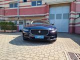 Jaguar XE 2.0 D 204 CV aut. SE - Jaguar XE aus 2022