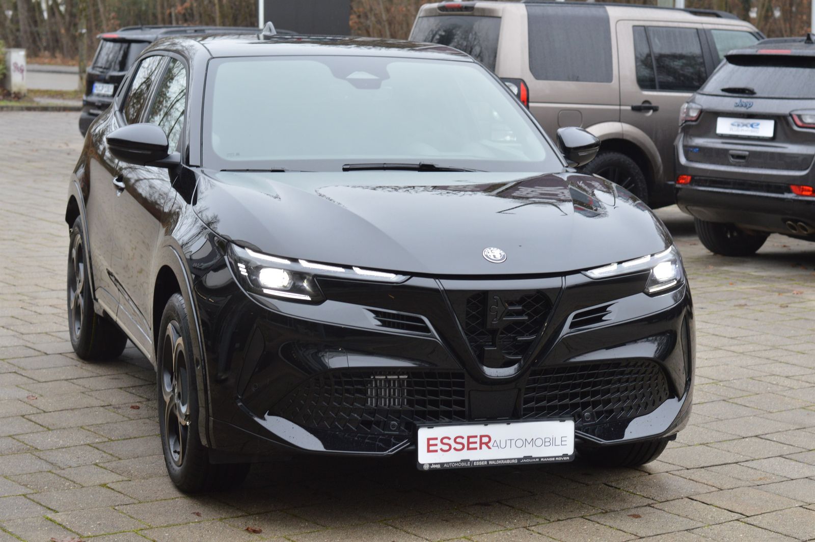 Alfa Romeo Junior - Bild 3