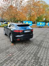Jaguar F-Pace 20d AWD Pure Automatik Pure - Jaguar F-Pace: Pure