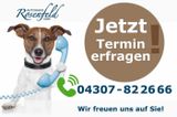 Volkswagen Caddy MAXI 2.0TDI DSG/Standhz./Sitzhz/AHK/Tempom - Volkswagen Caddy 2 0 TDI