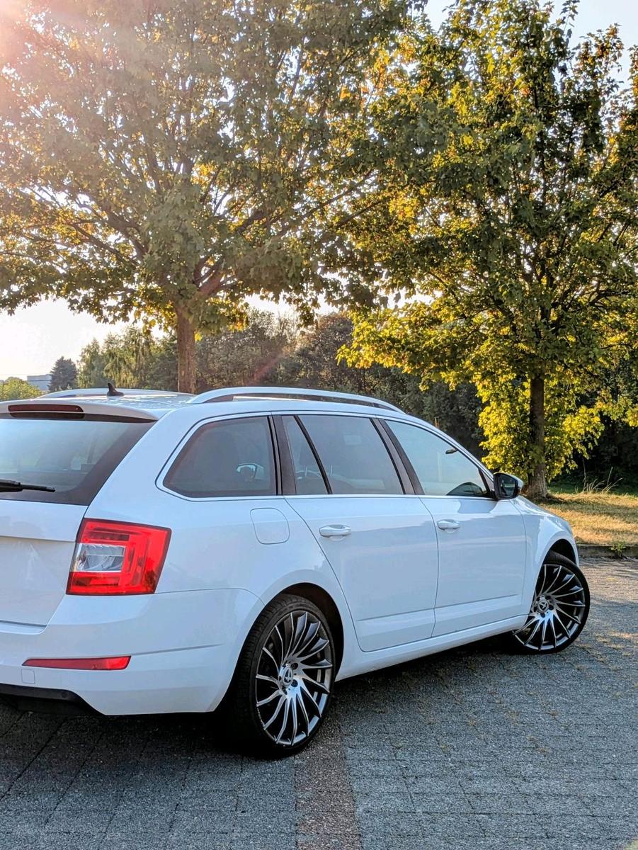 Skoda Octavia 2015 — photo 6