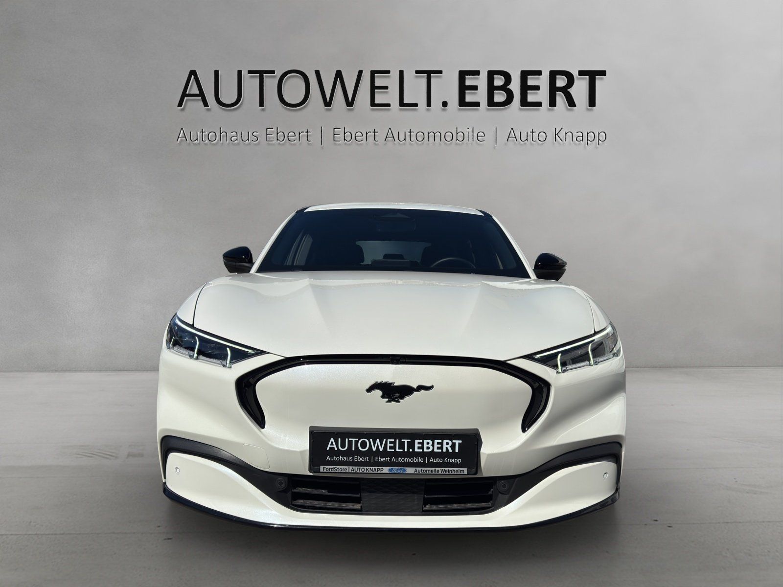 Fahrzeugabbildung Ford Mustang MACH-E AWD Ext. Range Aut./ACC/360°/B&O/