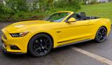 Ford Mustang 5.0 Ti-VCT V8 Black Shadow Edition B... - Ford Mustang mit Benzin-Antrieb: Cabrio, 5.0