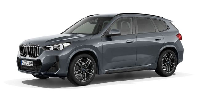 BMW X1 xDrive20d M-Sport FLA ACC RFK Keyless DAB AHK