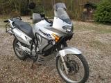 Honda XLV 650 Transalp - HONDA TRANSALP 650