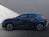 Lexus UX 250h Style SHZ Kamera Alu - Lexus aus 2021